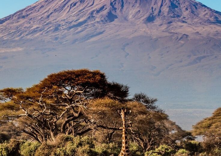 12-Day Kenya & Tanzania Great Migration Safari & Diani Beach Escape (July–October)