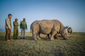 Best 5-Day Samburu & Ol Pejeta Wildlife Safari Tour