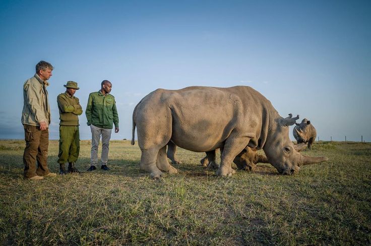 Best 5-Day Samburu & Ol Pejeta Wildlife Safari Tour