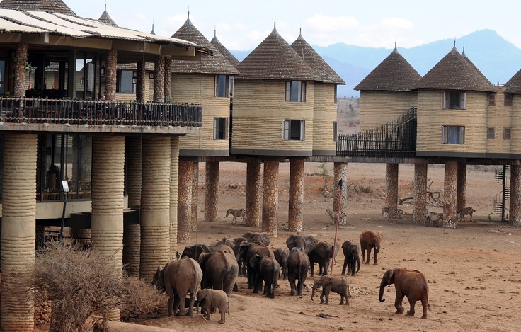 3-Day Taita Hills Sanctuary & Amboseli Safari